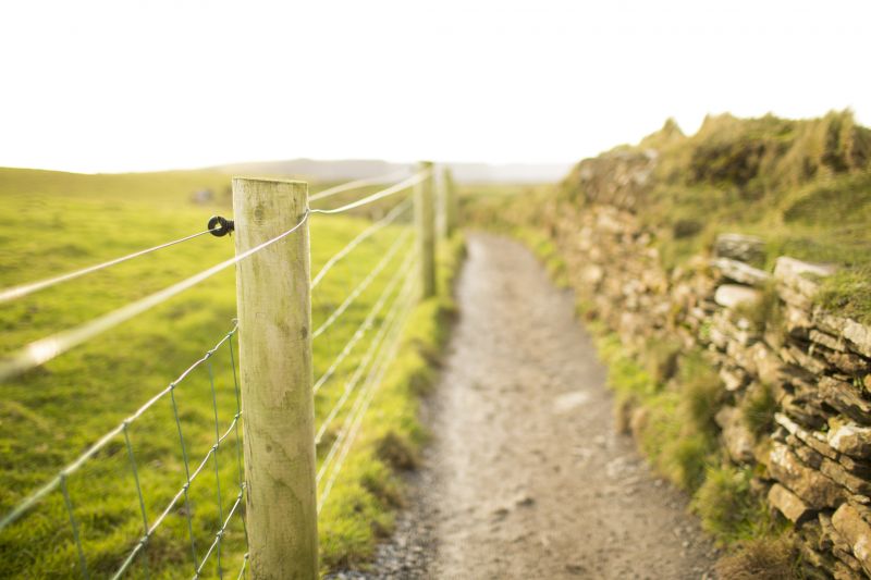 Agricultural Fence Installation