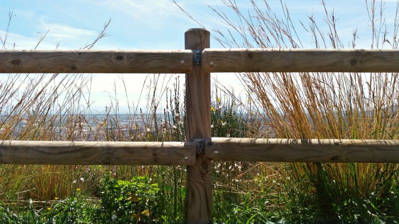 Fence Length and Area