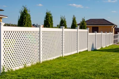 Privacy Fences