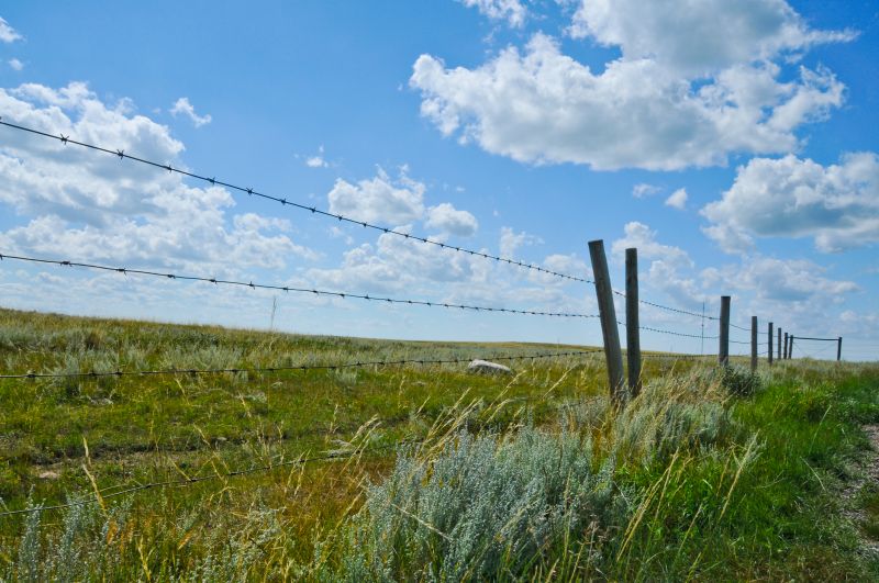 Protects Livestock