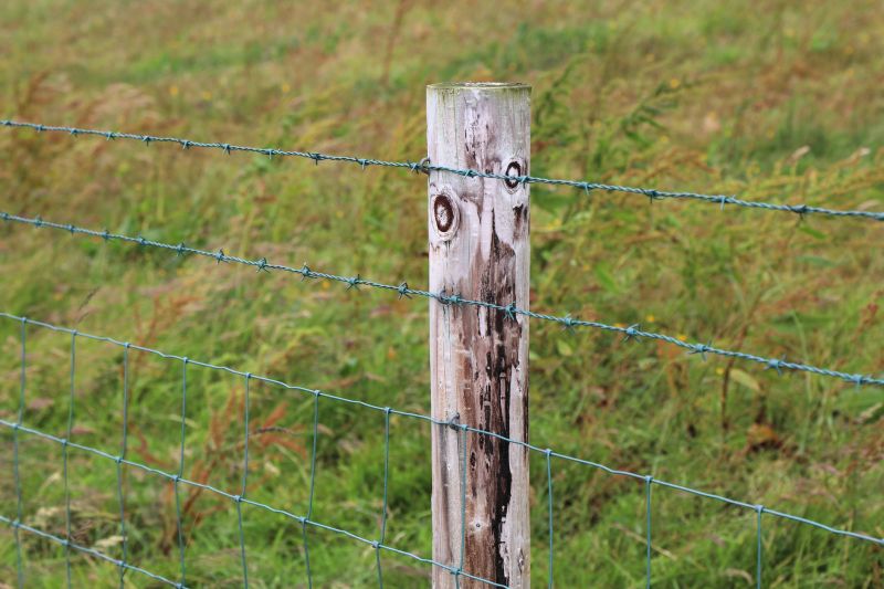 Defines Property Boundaries
